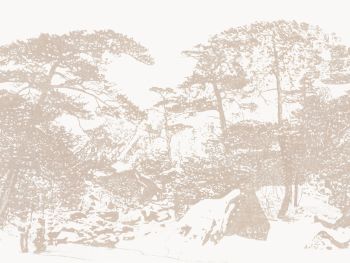 Papier peint panoramique Ginkesai