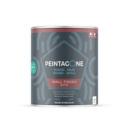Wall Finish Satin à teinter